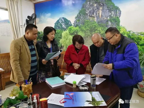 陽江迎春開門紅 歡樂祥和、平安有序、優質服務的旅游新氣象